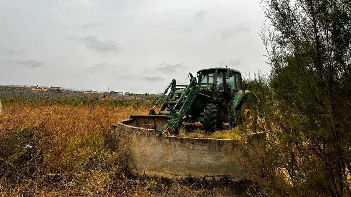 La Fiscalía de la Audiencia Nacional insta al Gobierno a actuar contra 250 empresas agrícolas por pirateo de agua en Doñana