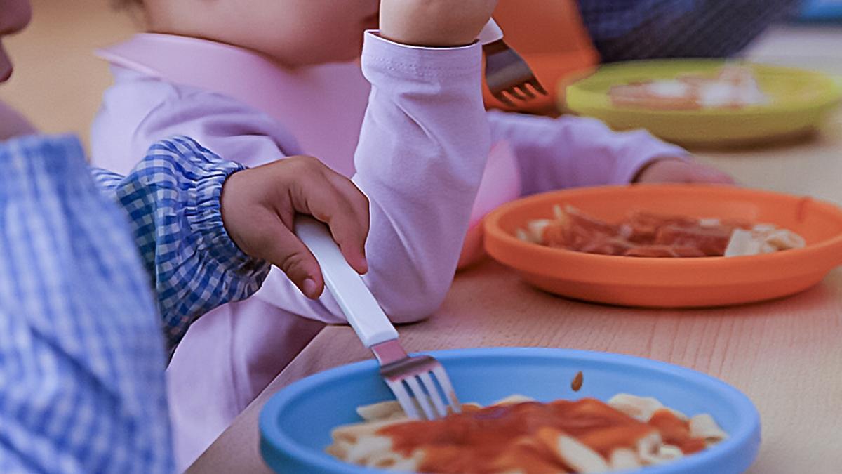 La Justicia rechaza la petición de una familia para reinstaurar el menú vegano en una ikastola