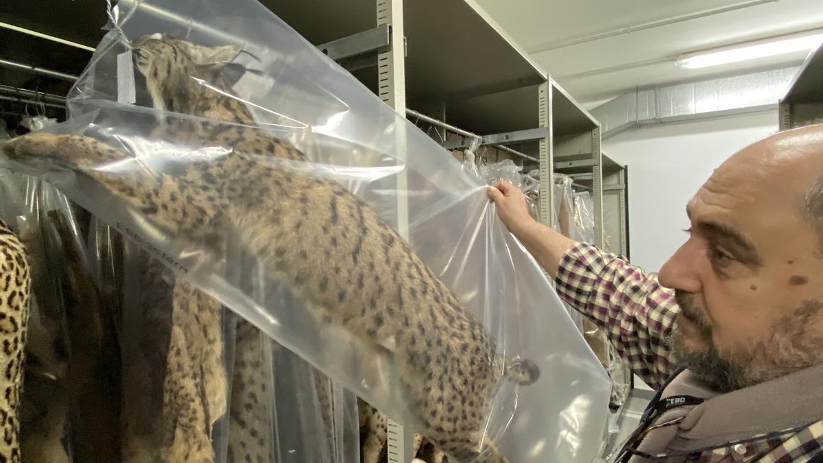 La fauna ibérica (y de medio mundo) tiene su copia de seguridad en un sótano de Sevilla