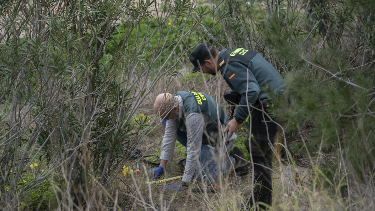 Qué sabemos sobre el asesinato del exalcalde del PP de Gandia, Arturo Torró