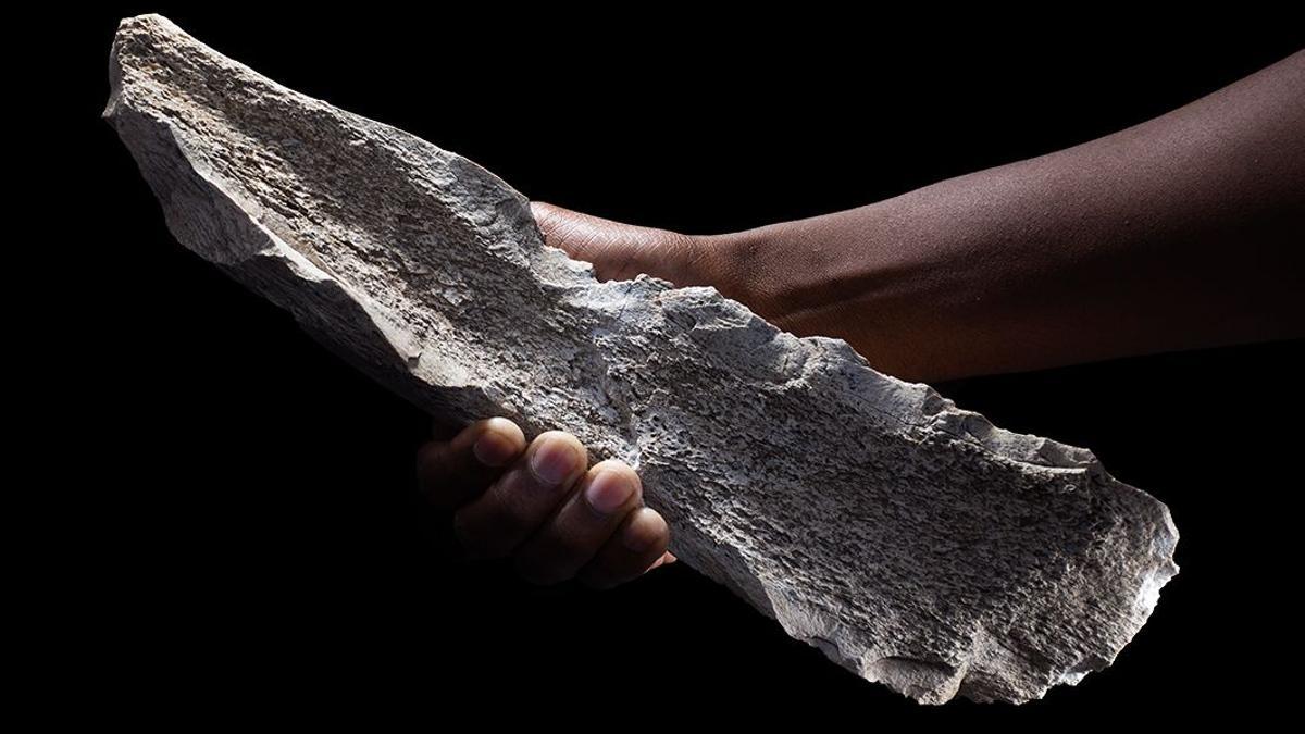 Los humanos ya fabricaban grandes cuchillos de hueso hace 1,5 millones de años: «Era la navaja suiza del Paleolítico»