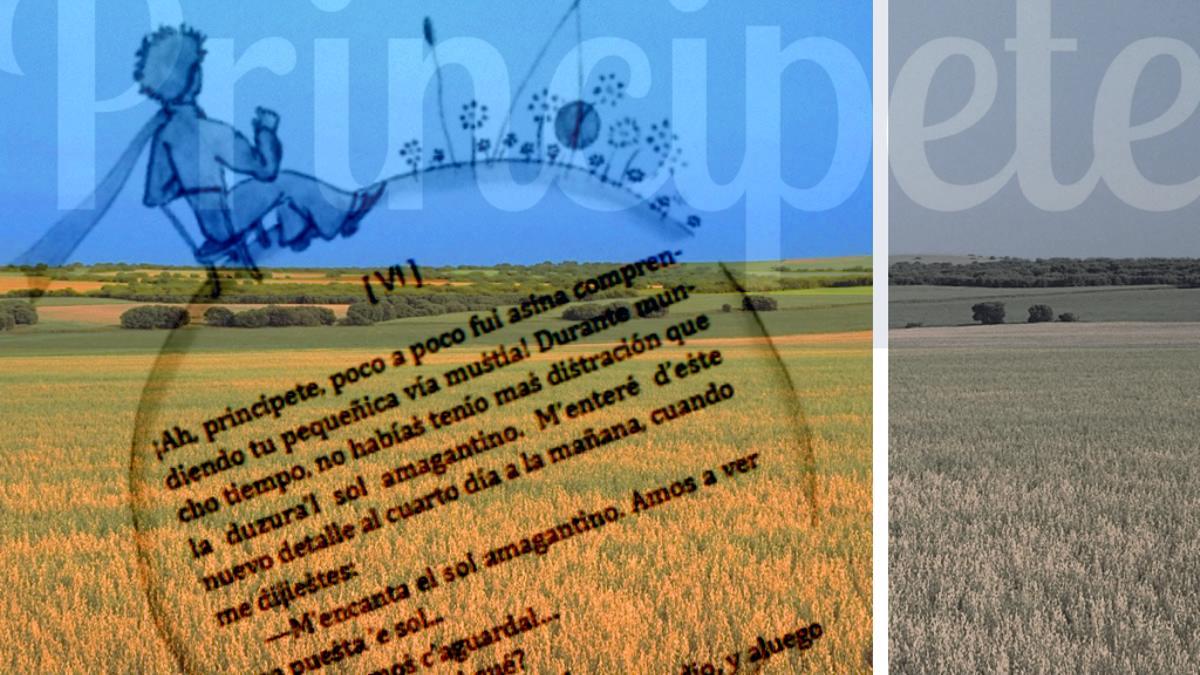 ‘El Principito’ también habla manchego: la obra universal, al rescate de las hablas tradicionales españolas