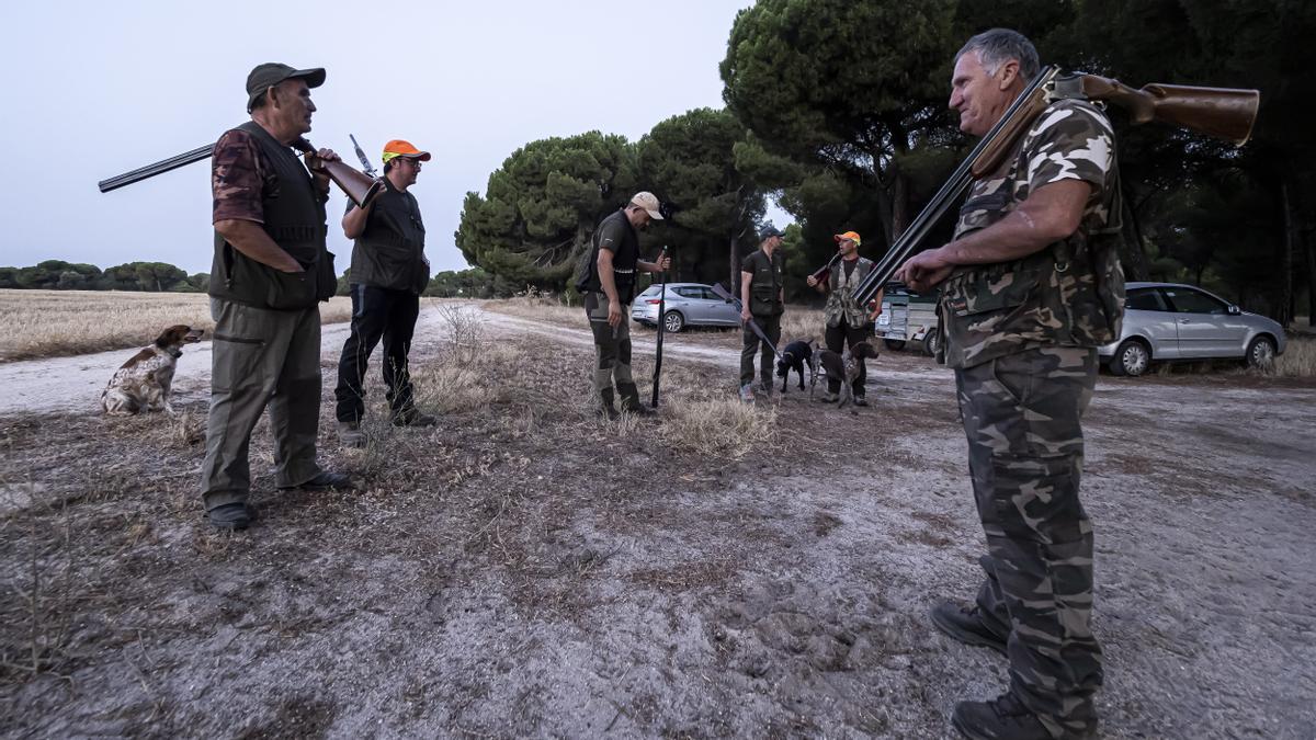 Europa quiere que los cazadores dejen de envenenar la naturaleza con 14.000 toneladas de plomo al año