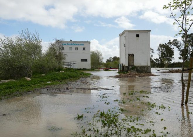 Un matrimonio desaparece en un pueblo de Sevilla arrastrado por un arroyo