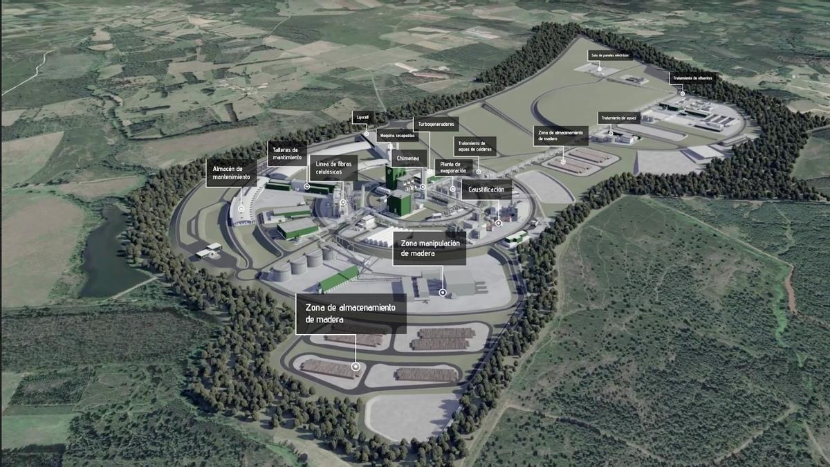 La Xunta rectifica y asegura por primera vez que no dará fondos propios a Altri para que se implante en Galicia