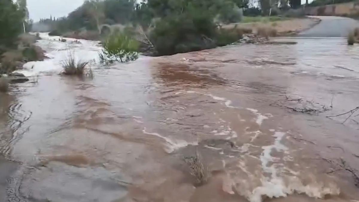 La alcaldesa de Bétera viaja a los carnavales de Italia en plena alerta por temporal y con su barranco en riesgo de desborde