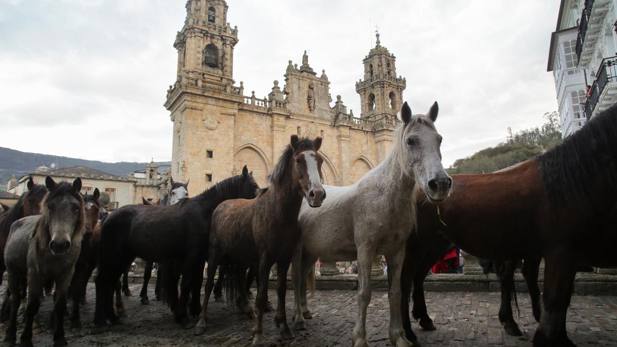 Ding, dong… Los últimos ‘hablantes’ de las lenguas de bronce