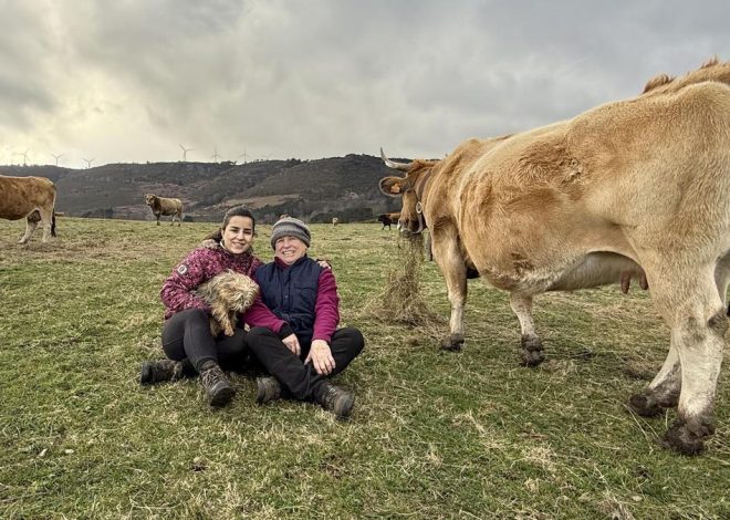 Meri Llano, la ganadera con la cabaña ecológica más guapa de Asturias, cuida 170 vacas y 30 burras en sierra de Illano