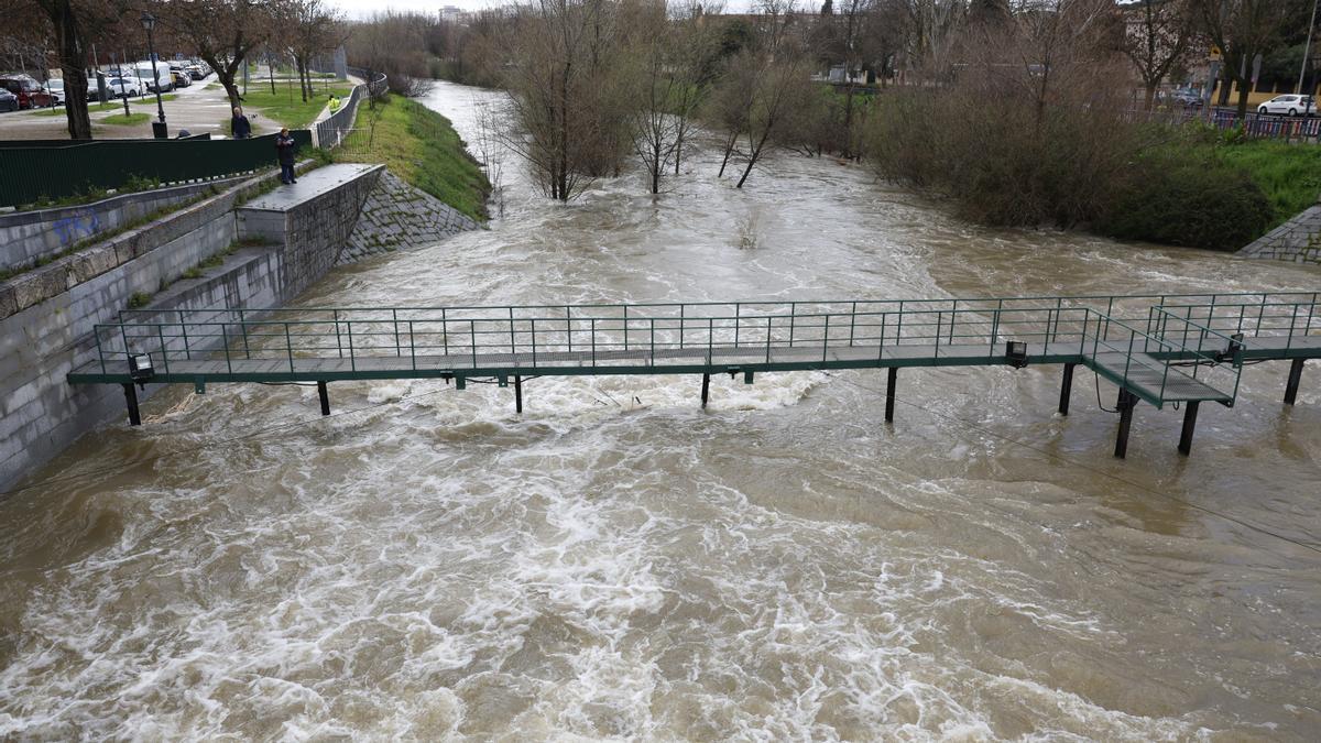 El Manzanares vuelve a tocar techo con otra crecida en la noche del viernes pero Madrid salva el corte en la A-6