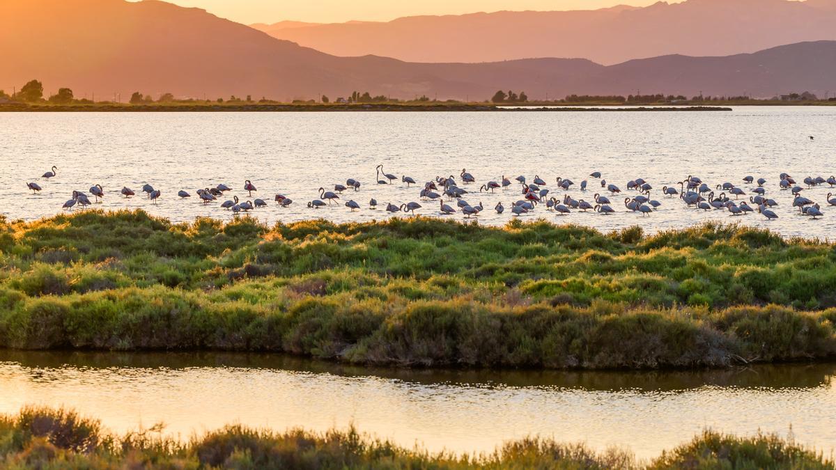 Seis Reservas de la Biosfera donde reconectar con la naturaleza