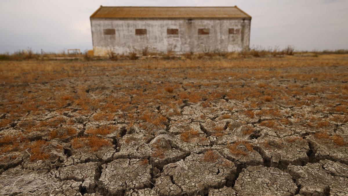 El goteo antiecologista no para de filtrarse en las políticas ambientales: el auge de la extrema derecha y algo más