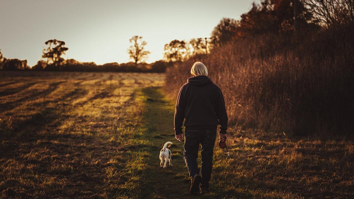 Andar más y mejor: consejos para hacer caminatas sin forzar ni acabar exhaustos