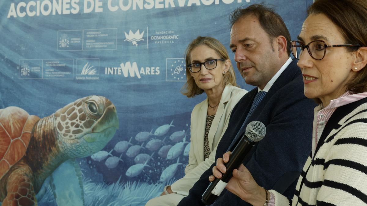 El alto cargo de Mazón citado por la jueza de la DANA se desdice: la Generalitat es la «sexta alternativa» para vigilar el Poyo