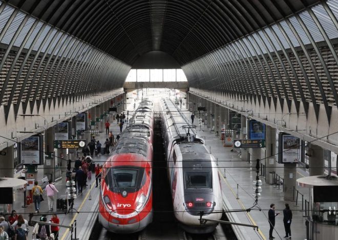 Óscar Puente insiste en un “sabotaje” en el AVE Madrid-Sevilla: «Son robos de cable de escasísimo valor y una acción coordinada»