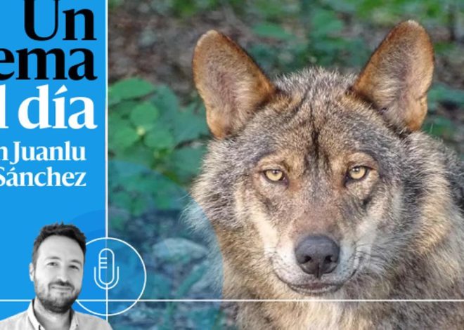 🎙 PODCAST | Que viene el lobo, una fábula política