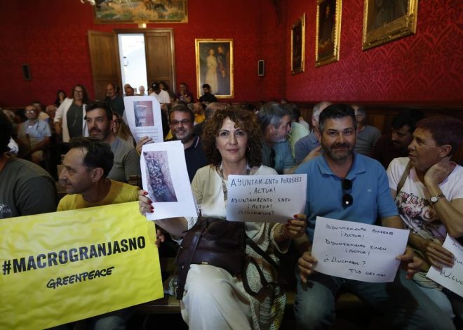 «No voy a ir en contra de una empresa»: la alcaldesa del PP que alberga la ‘granja de los horrores’ se niega a cerrarla