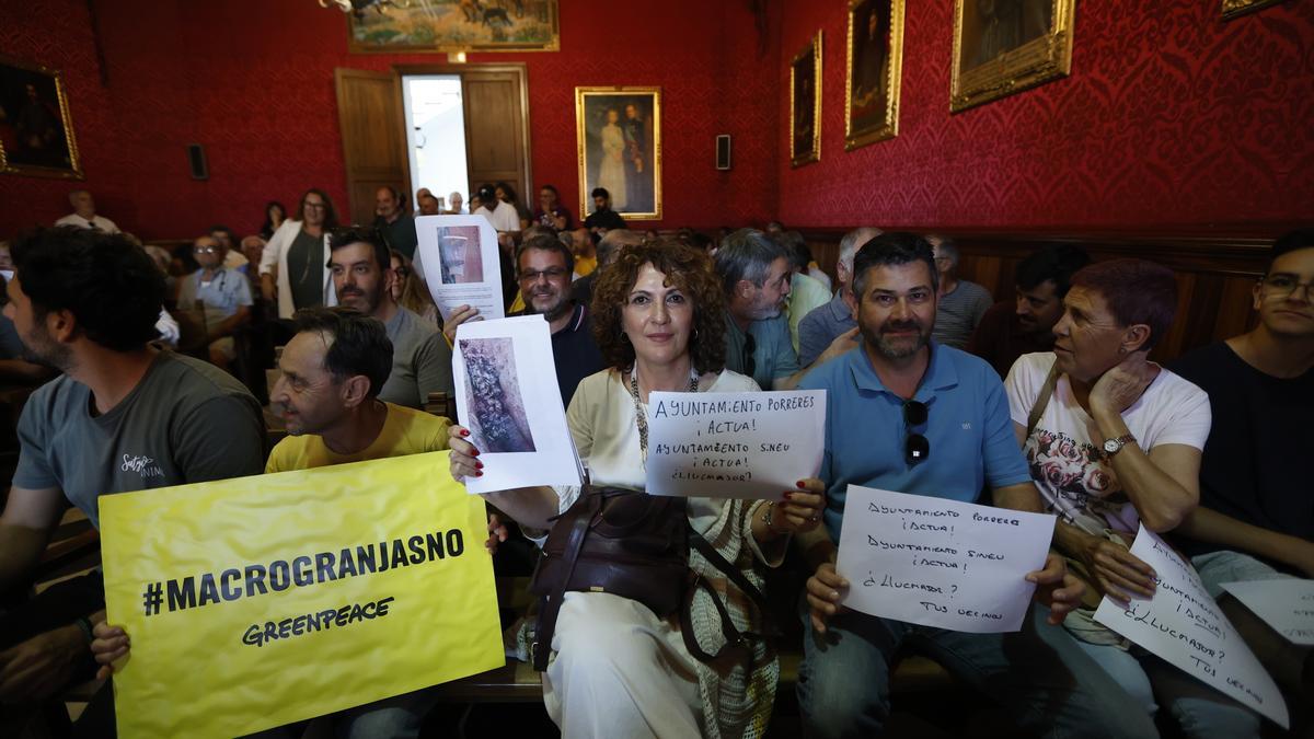 «No voy a ir en contra de una empresa»: la alcaldesa del PP que alberga la ‘granja de los horrores’ se niega a cerrarla
