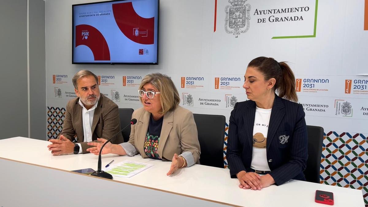 El PSOE de Granada vive su primera batalla interna en una década para intentar recuperar la Alcaldía