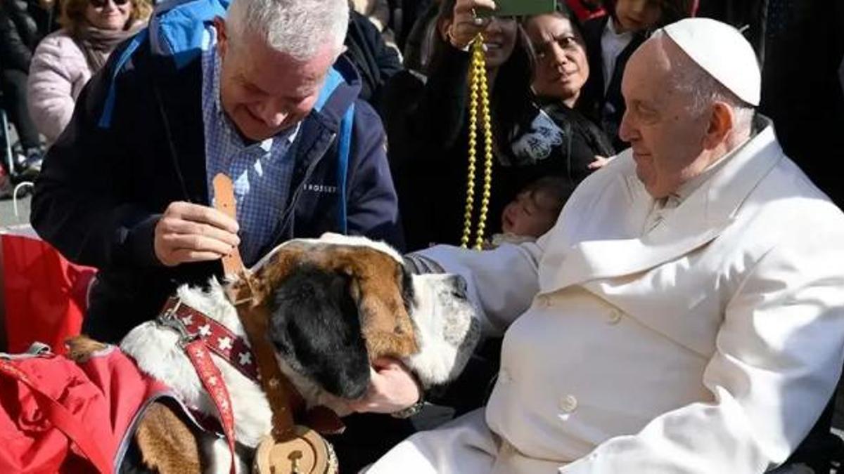 Francisco, sobre los animales