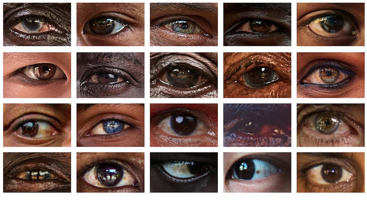 El blanco de los ojos no es único en los humanos ni universal: un estudio pone en duda su papel en la comunicación