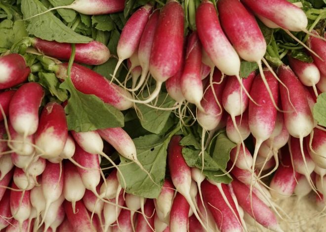 Estas son las frutas y verduras de primavera que no deben faltar en tu plato