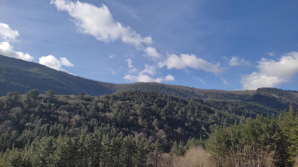 Cielo despejado y con temperaturas primaverales en Madrid antes de la llegada de nubosidad