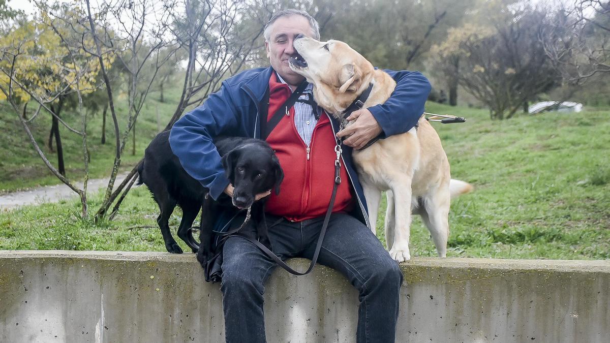 “No puedo dejar mis ojos en la puerta del restaurante”: el todavía lento proceso de normalizar la presencia de los perros guía