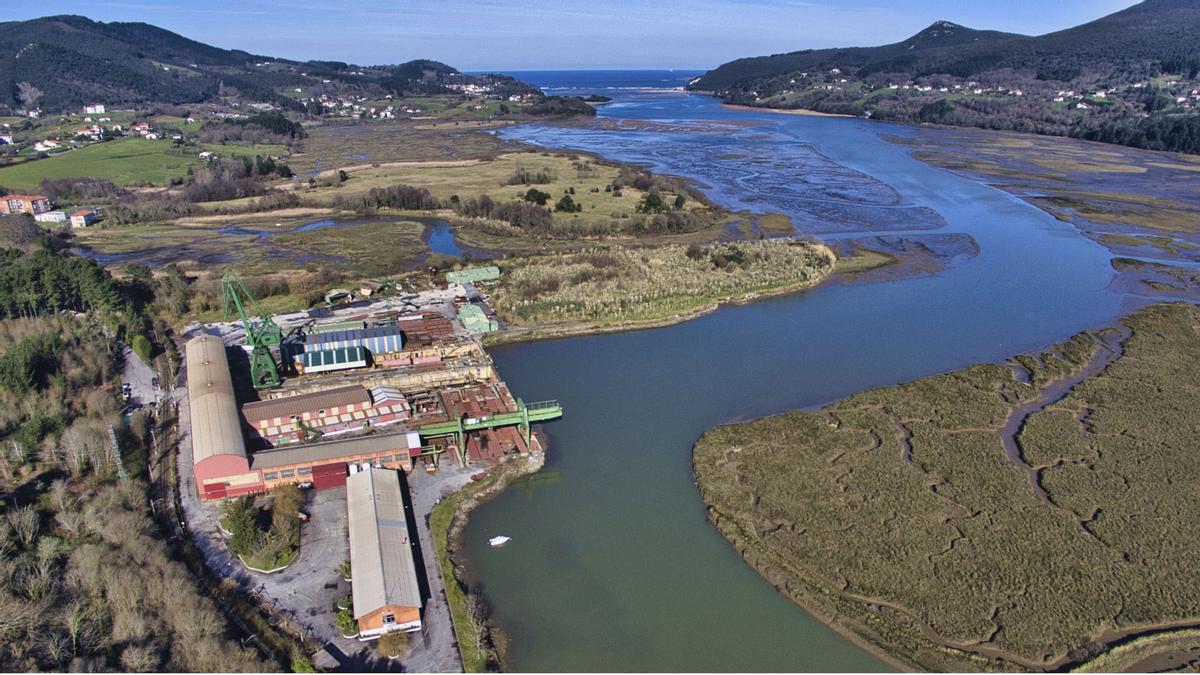 Alerta roja, actores y ‘youtubers’: internacionalizan la oposición al nuevo Guggenheim en Urdaibai