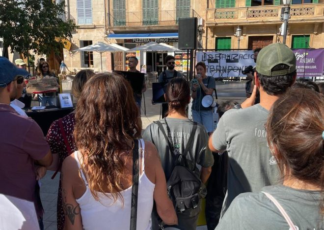Unas 80 personas se concentran en Llucmajor para exigir el cierre de la ‘macrogranja de los horrores’