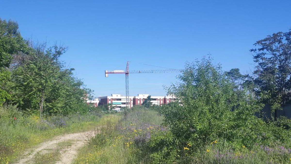 Las claves de la Operación Campamento y cómo el Ministerio de Vivienda busca «hacer barrio y no solo casas»
