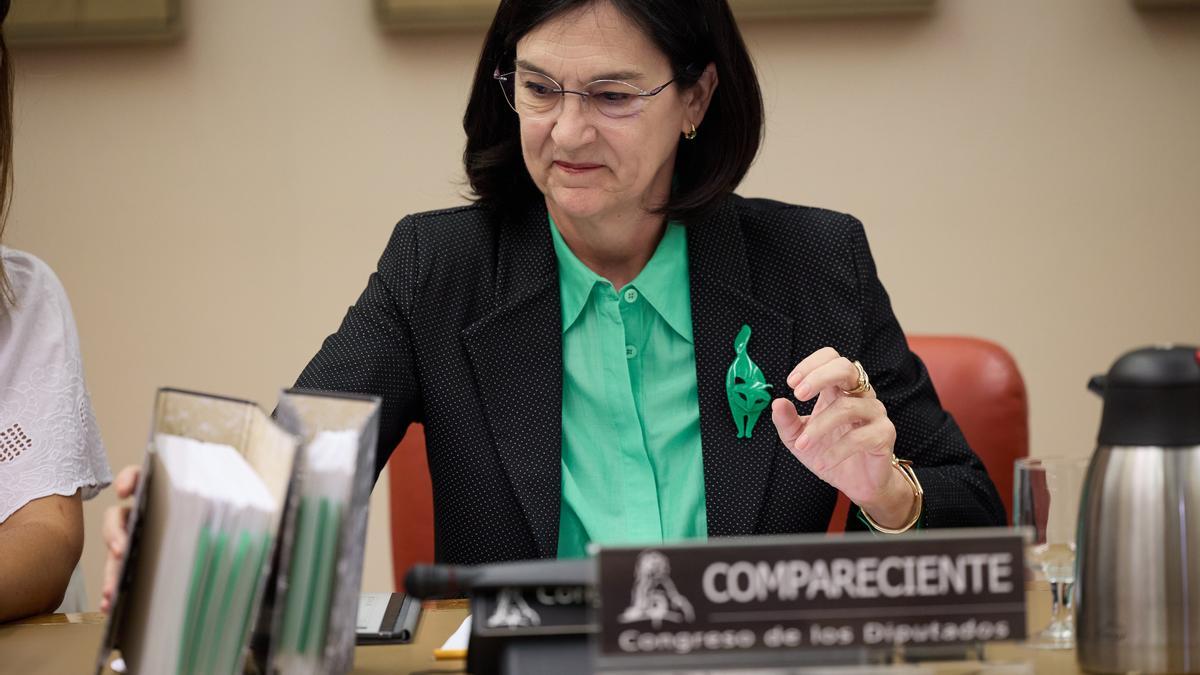 La presidenta de Competencia culpa a la UE del retraso para actualizar una norma «obsoleta» sobre renovables