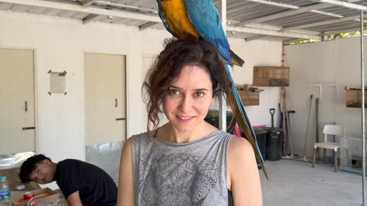 Si Pedro Sánchez hubiera visitado a Frank Cuesta