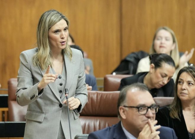 El juzgado admite la personación del PSOE en la causa de los contratos sanitarios troceados en Andalucía