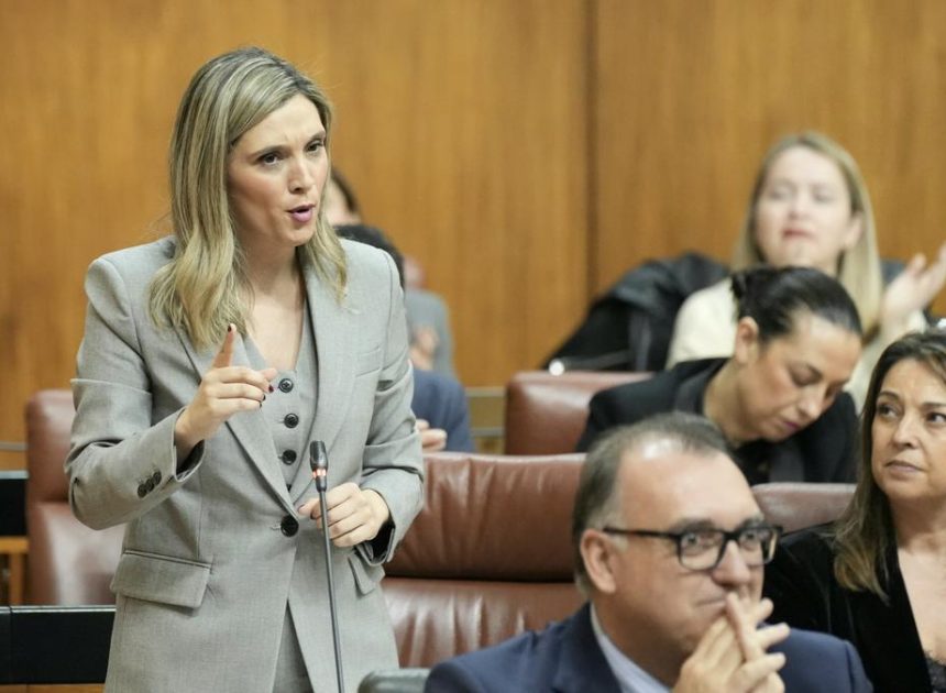 El juzgado admite la personación del PSOE en la causa de los contratos sanitarios troceados en Andalucía