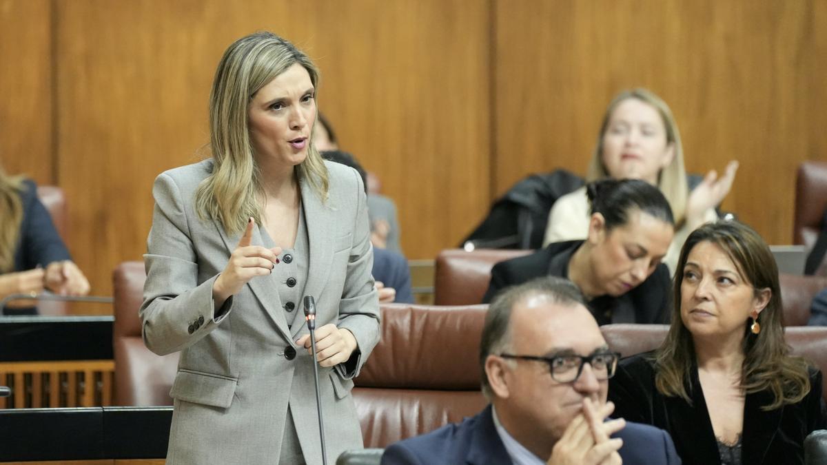 El juzgado admite la personación del PSOE en la causa de los contratos sanitarios troceados en Andalucía
