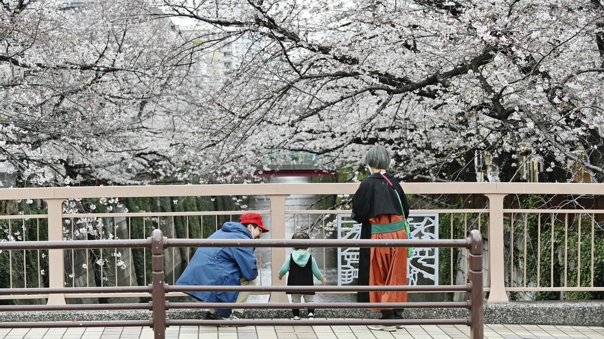 Pikachu, Naiki, Kitty: Japón introduce nuevas normas frente a los nombres extravagantes de los bebés