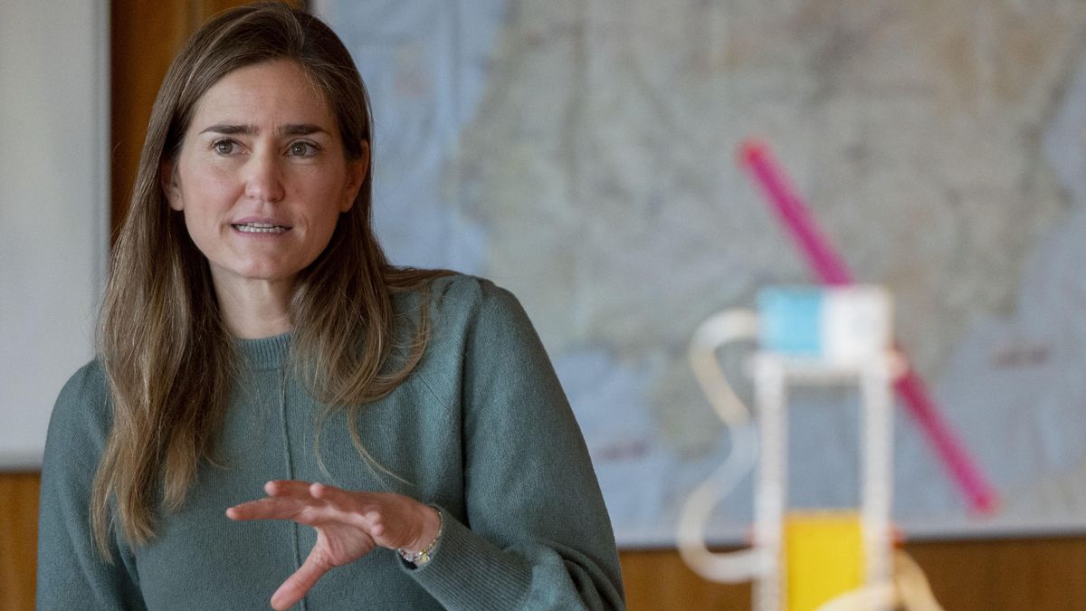 El Gobierno da un ultimátum al sector eléctrico ante sus retrasos en la entrega de datos sobre el apagón