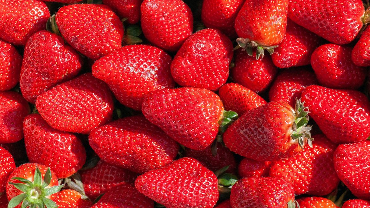 No vale un enjuague rápido: cómo lavar bien las fresas y conservarlas para que duren más