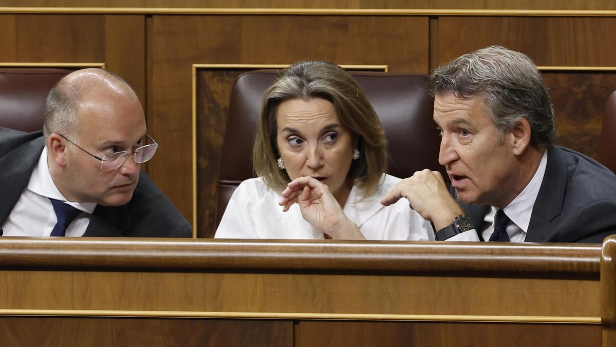 Cuca Gamarra, una superviviente en la dirección del PP