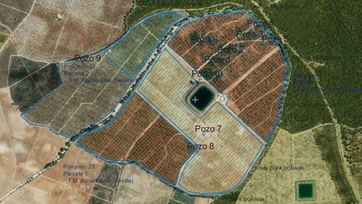 El juez le abre una puerta a los Alba para no citarlos como investigados por sus pozos ilegales junto a Doñana