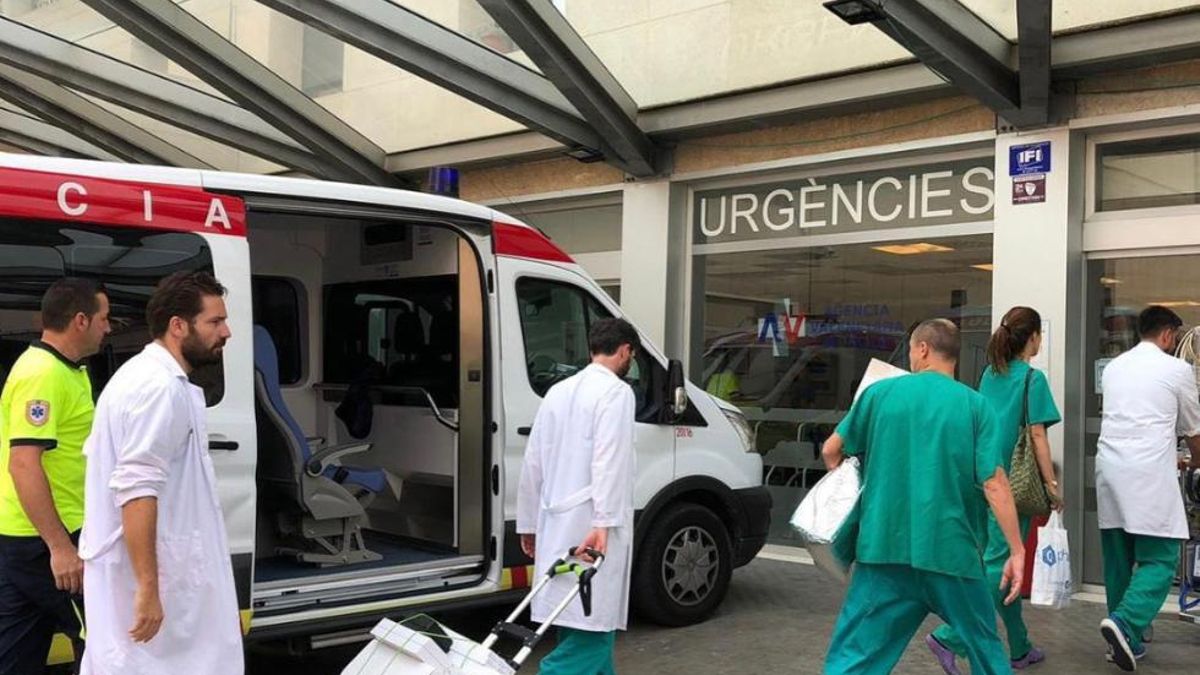 Sanidad confirma la hospitalización de un hombre por un caso de rabia en Valencia