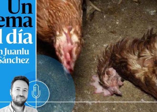 🎙 PODCAST | La granja de los horrores