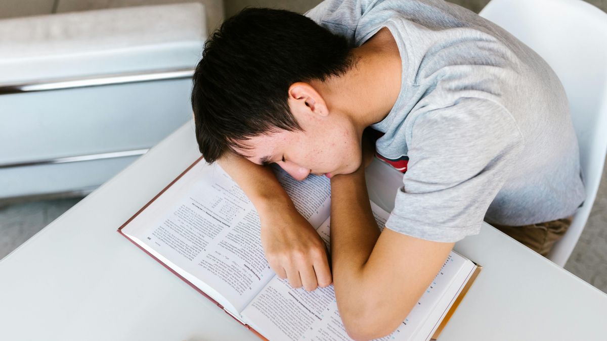 El poder inspirador de una siesta: la neurociencia intenta probar que el sueño produce ‘momentos eureka’