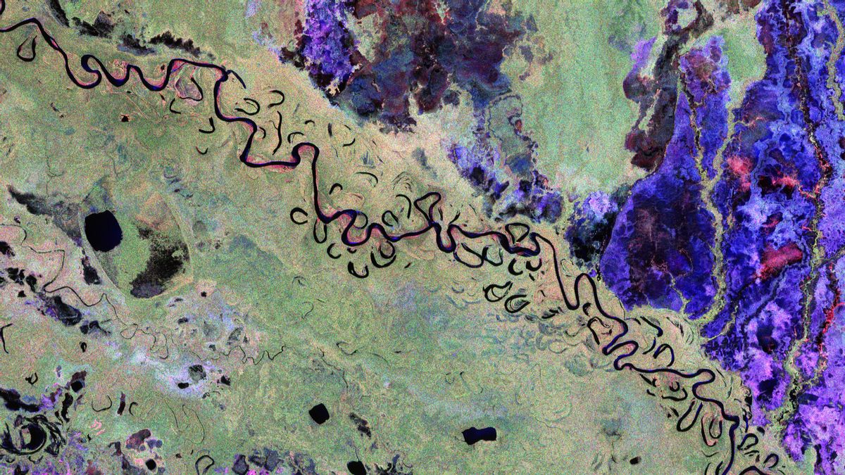 Una ‘radiografía’ de los bosques desde el espacio: el satélite Biomass envía sus primeras imágenes