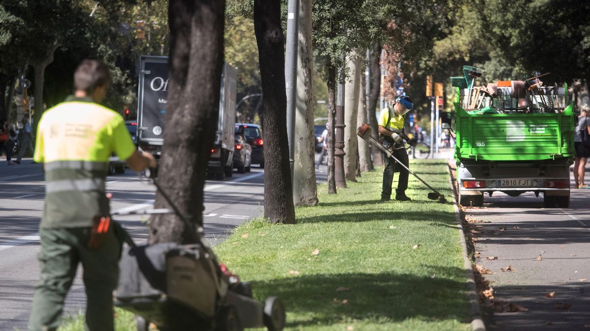 Los jardineros de Alcorcón exigen recuperar decenas de puestos perdidos: «Cada vez hay más bajas por lesiones»