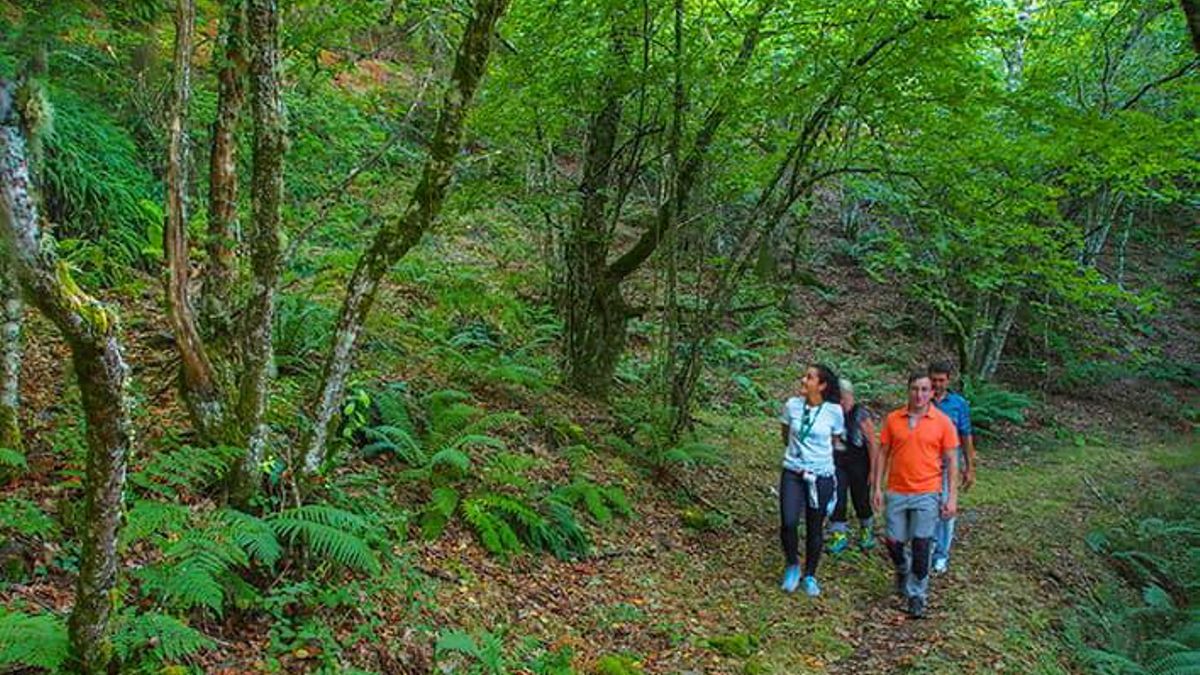 Siete rutas de senderismo poco transitadas para caminar sin agobios