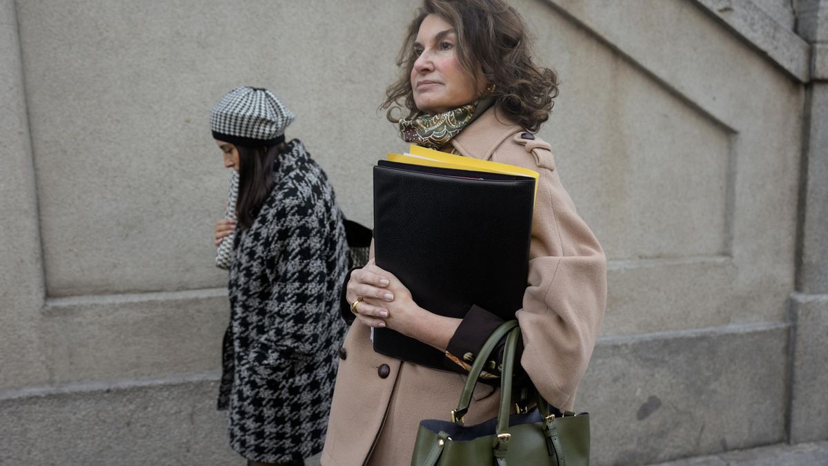 La fiscal de Madrid alega que la confesión de la pareja de Ayuso «dejó de ser secreta» cuando mandó uno de sus correos a Miguel Ángel Rodríguez