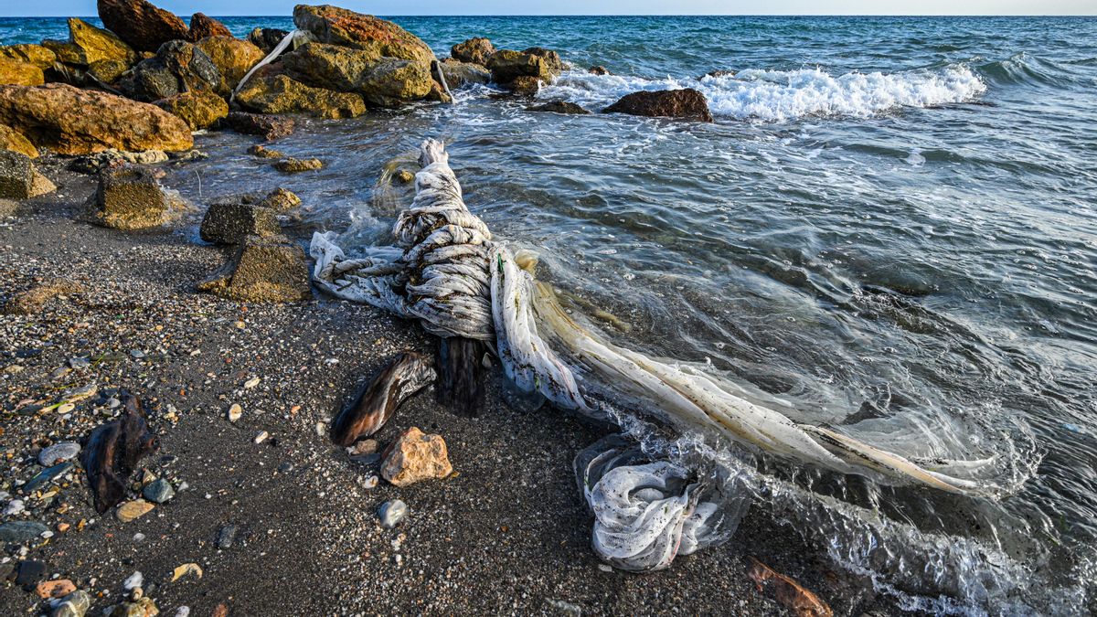 El invernadero acaba en el fondo del mar: cómo la agricultura intensiva ‘alimenta’ la montaña de basura de plástico