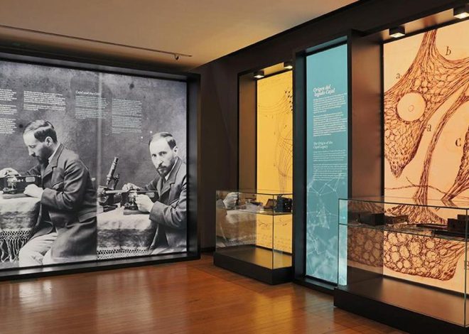 El Gobierno planea colocar el Museo Ramón y Cajal en un edificio al lado del Centro de Arte Reina Sofía