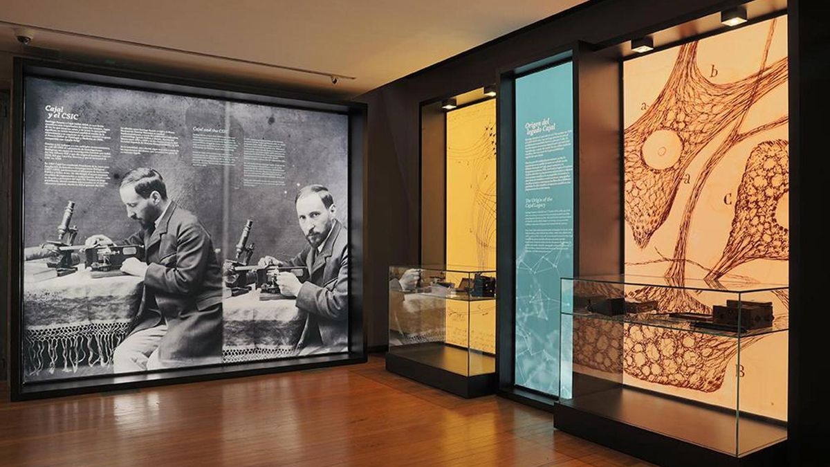 El Gobierno planea colocar el Museo Ramón y Cajal en un edificio al lado del Centro de Arte Reina Sofía